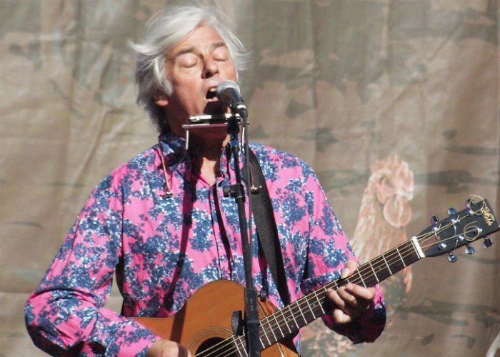 image for artist Robyn Hitchcock