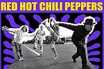 image for event Red Hot Chili Peppers, Ice Cube, and IRONTOM