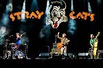 image for event Stray Cats