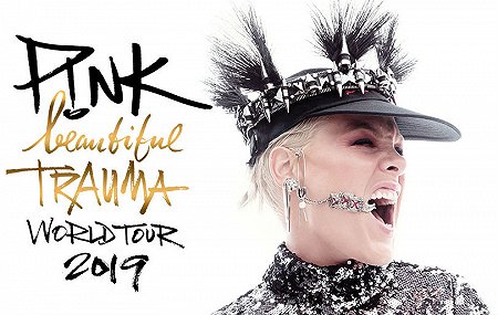 image for article P!nk Adds 2019 Tour Dates: Ticket Presale Code & On-Sale Info