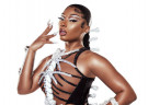 image for event Megan Thee Stallion