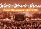 image for event WinterWonderGrass Tahoe