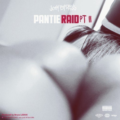 joey-bada$$-pantie-raid-pt-II-single-artwork