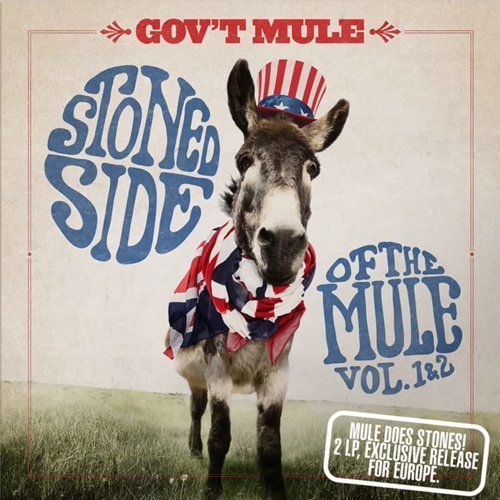 govt-mule-stoned-side-of-the-mule-album-cover-art