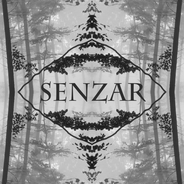 image for artist Senzar