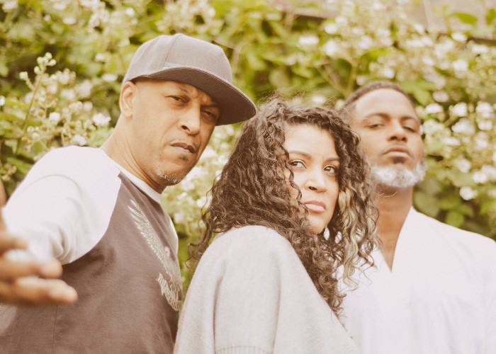 image for artist Digable Planets