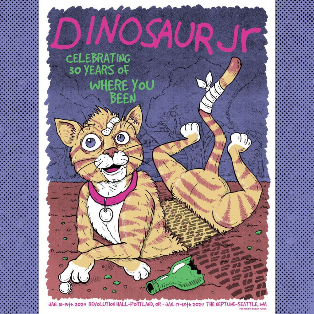 dinosaur jr tour 2023 usa